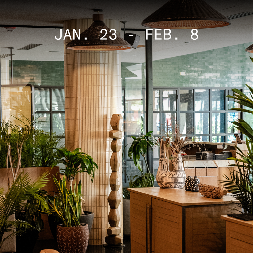 Dec. Lamb Shanks (7)